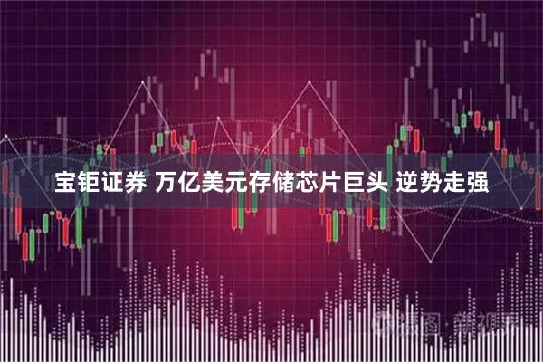 宝钜证券 万亿美元存储芯片巨头 逆势走强